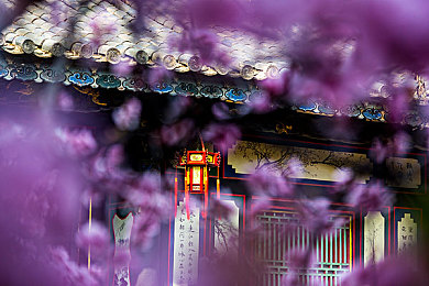 歐州一區(qū)三區(qū)三區(qū)`四區(qū)｜歐洲游戲區(qū)大揭秘：一區(qū)首發(fā)三區(qū)多元四區(qū)個性體驗-2
