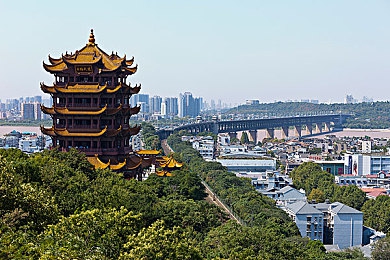 色片多多：網絡色情泛濫,青少年身心健康受威脅,社會各界呼吁共同治理-2