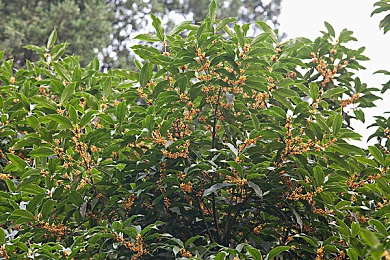51cgfun cc｜《51cgfun cc》次元探險(xiǎn)游戲好評(píng)如潮，奇幻冒險(xiǎn)等你開(kāi)啟-4