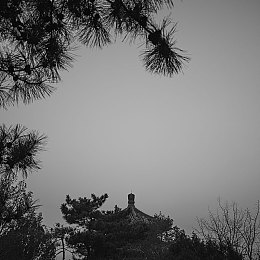 國(guó)產(chǎn)精品秘天美傳媒入口,國(guó)產(chǎn)RPG巔峰之作 秘境傳說(shuō)帶你探索奇幻冒險(xiǎn)世界-2