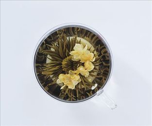 草莓視頻官網入口ios,奇幻草莓園：魔法種植之旅-3