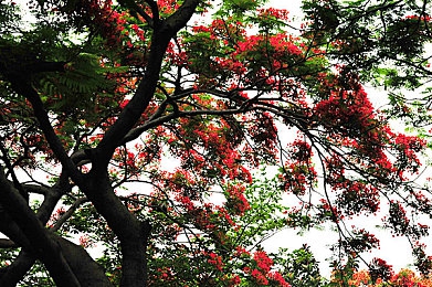 91今日大瓜 校園大瓜｜校園資訊盛宴，一網(wǎng)打盡笑與淚-4