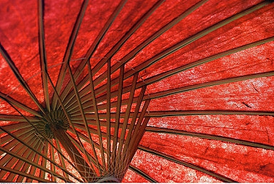磁力吧ciliba,磁力操控大師：解謎與物理的奇妙旅程-3