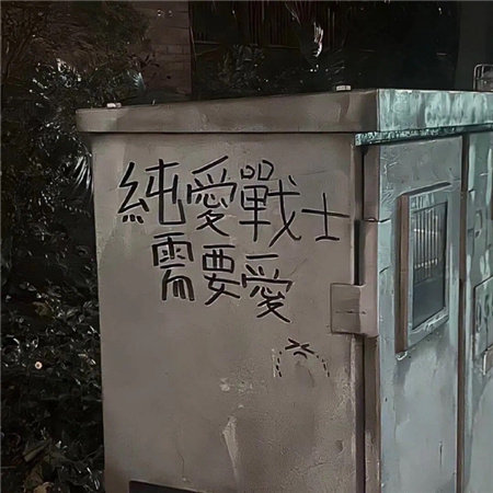 香蕉含羞草綠巨人：新型雜交植物“香蕉含羞草綠巨人”走紅,成城市綠化新寵-3