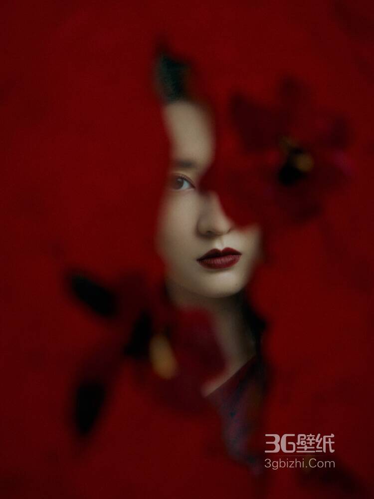 動漫無碼3D在線觀看｜沉浸式奇幻之旅：暢享無碼3D動漫的極致盛宴-1