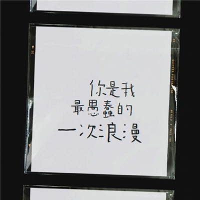 狼色入口,迷失黑暗森林 揭秘生存之道 挑戰極限求生-4