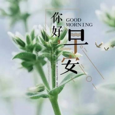 大BBBwBBBwBBBw40｜“綠色創(chuàng)新先鋒：我國(guó)新型環(huán)保材料引領(lǐng)環(huán)保革命新篇章”-2